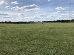 Tag des Modellflugs 2019